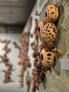 Анна Акилова