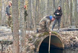 «Нижегородское Поволжье»: где находится и чем интересен первый в регионе национальный парк