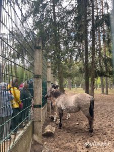 Анастасия Красушкина