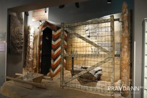 Анастасия Красушкина