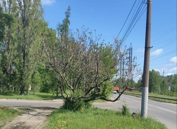 Фото: администрация Сормовского района