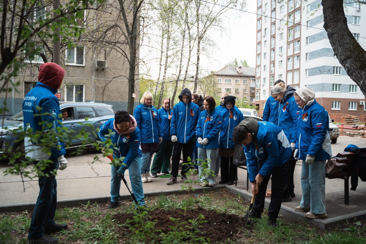 Дворы нижегородских ветеранов благоустроят в рамках акции «Палисадник Победы»