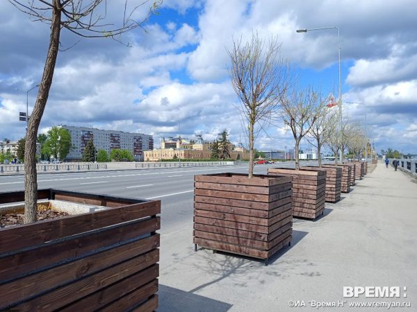 Деревья посадили на набережной вдоль Оки в Нижнем Новгороде