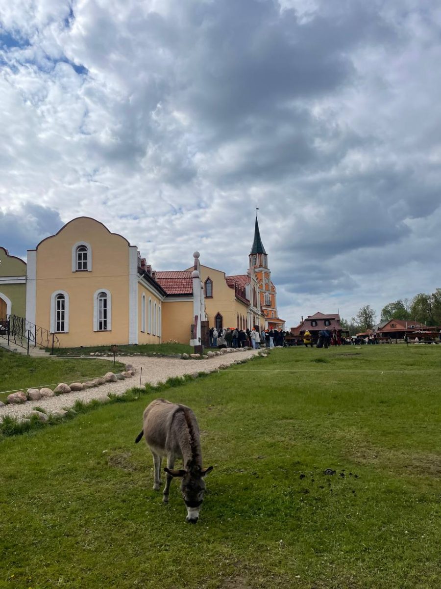 Анастасия Красушкина