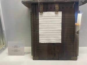 Анастасия Красушкина
