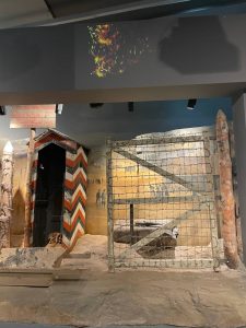 Анастасия Красушкина
