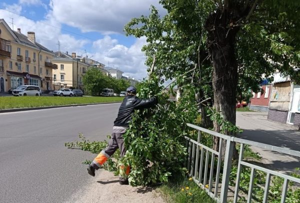 В Дзержинске обрезают аварийные деревья