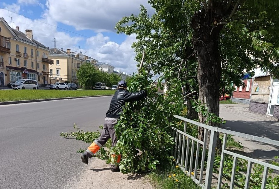 В Дзержинске обрезают аварийные деревья