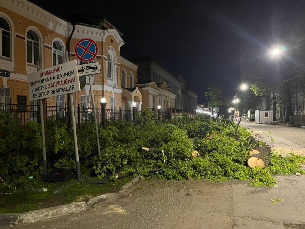 Деревья вырубили на Малой Покровской улице