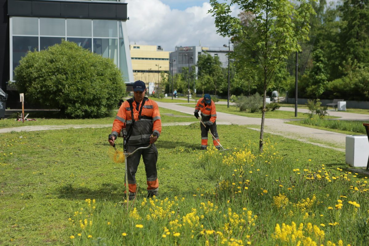 В Дзержинске ведется покос травы