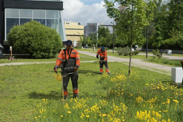 В Дзержинске ведется покос травы