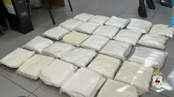 24 кг синтетического наркотика нашли у москвича в Павловском районе