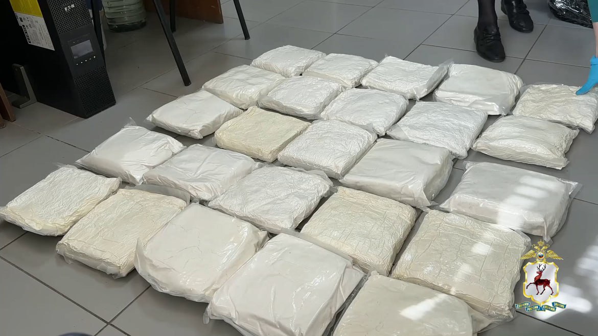 24 кг синтетического наркотика нашли у москвича в Павловском районе