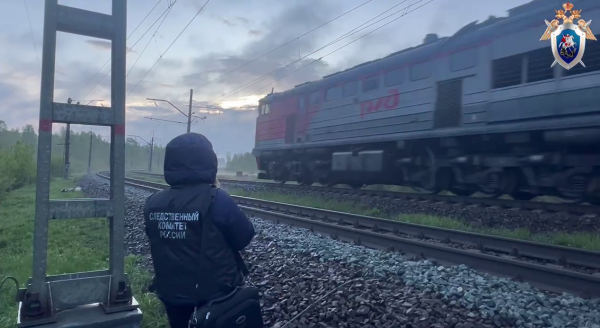 Нижегородку насмерть сбил поезд в Борском районе