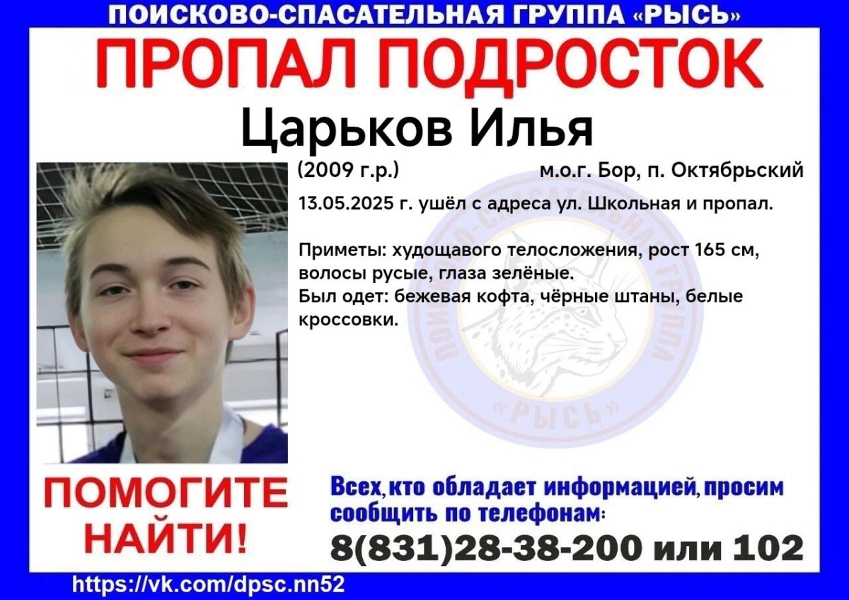16-летний подросток пропал в Борском районе
