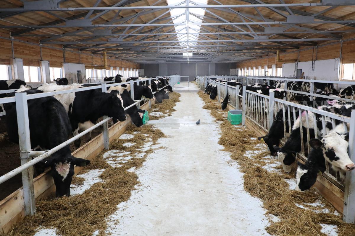 6,7% составил удельный вес нижегородской сельхозпродукции в общем объеме