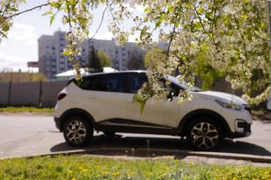 Нижегородцам станет проще размещать объявления о продаже авто