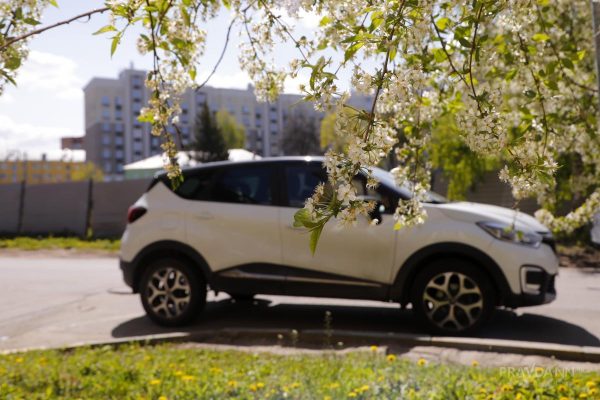 Нижегородцам станет проще размещать объявления о продаже авто