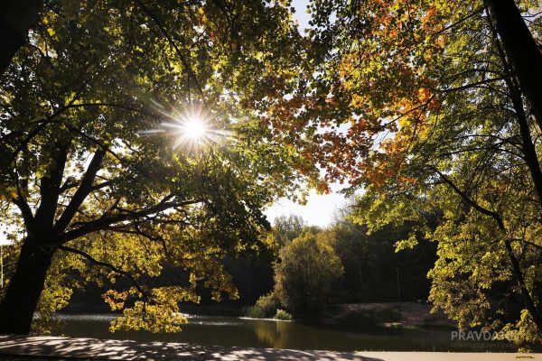 Тёплая погода вернётся в Нижний Новгород в первую неделю осени