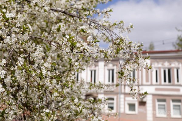 Небольшие дожди ожидаются на новой рабочей неделе в Нижнем Новгороде