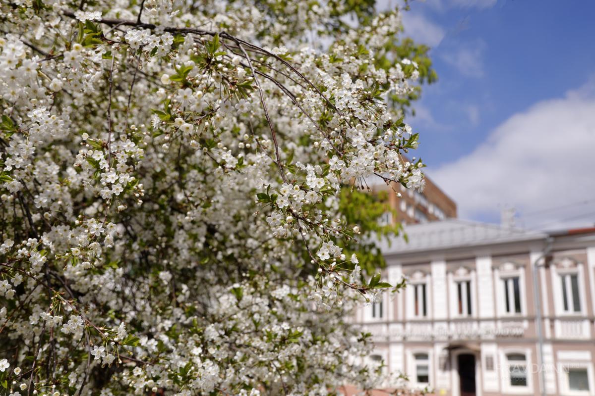 В нижегородском минсельхозе опровергли слухи о гибели посевов из-за заморозков