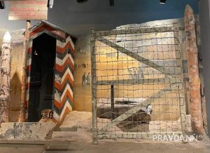 Анастасия Красушкина