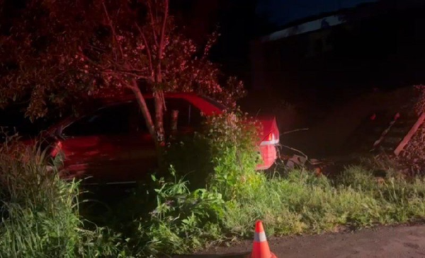 16-летний подросток сел за руль автомобиля и врезался в дерево в Кстове