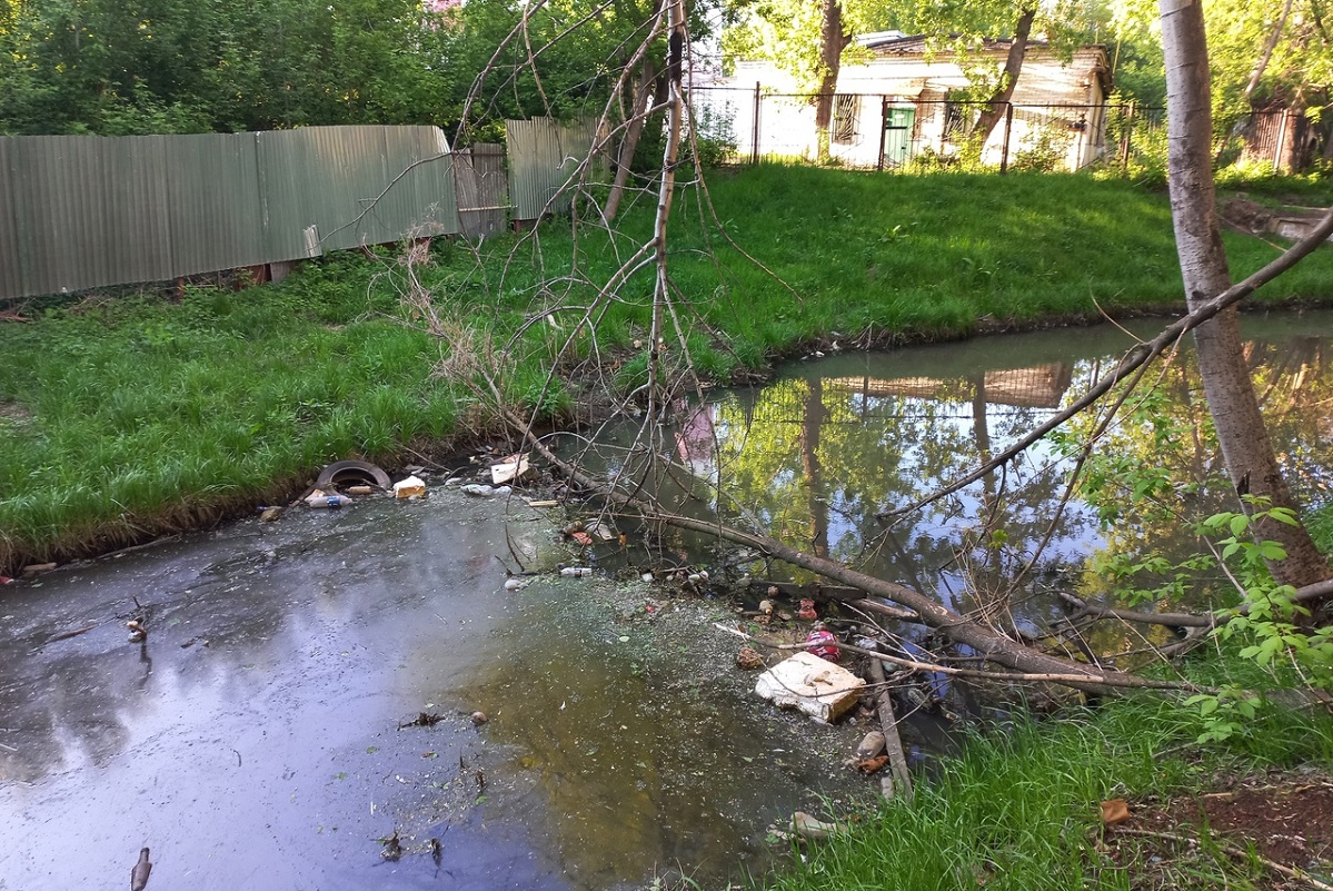Нижегородцы вновь жалуются на мусор в реке Борзовке