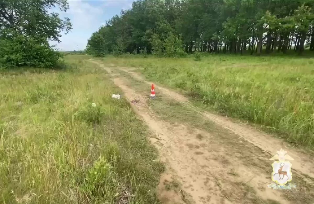 Опубликовано видео с места смертельного ДТП в Дзержинске