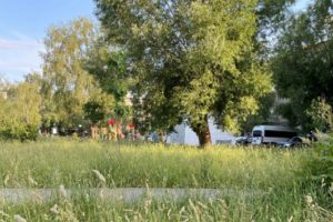 «Родители не могут сделать площадку для своих детей?»: депутат в Заволжье назвал жителей иждивенцами