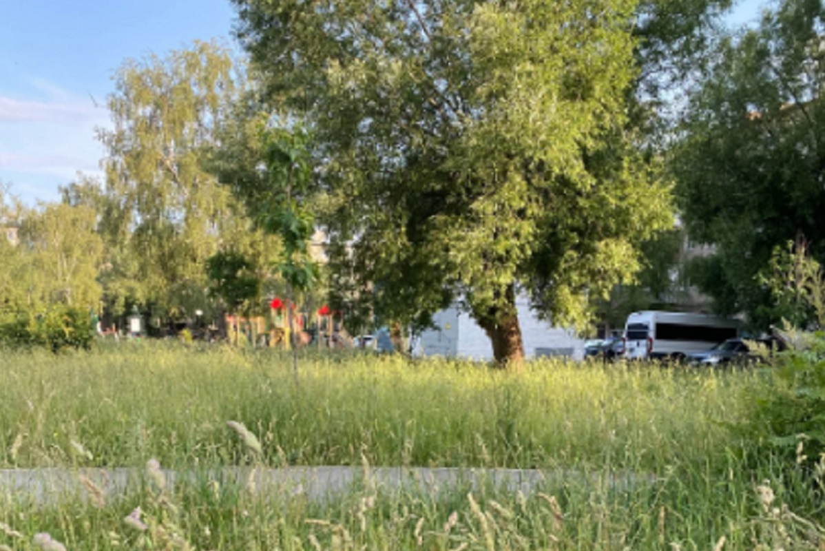 Депутат назвал жителей Заволжья иждивенцами из-за вопроса о детской площадке