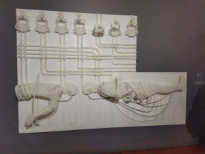 Ольга Севрюгина