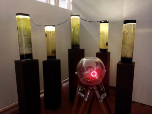 Ольга Севрюгина