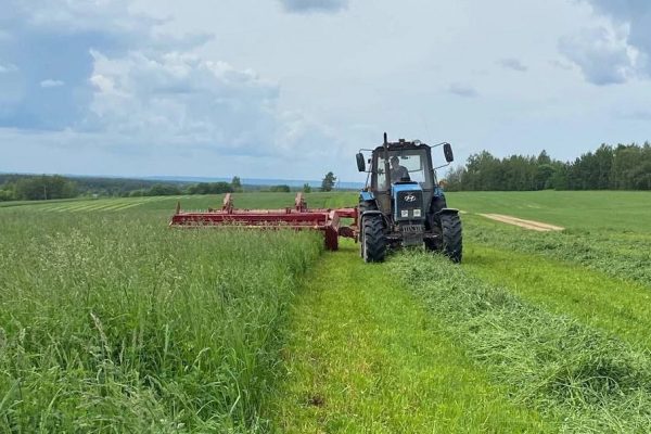 Кормозаготовительные работы начались в Нижегородской области