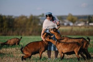 Все началось с козы: рождение внучки сподвигло нижегородку открыть сыроварню