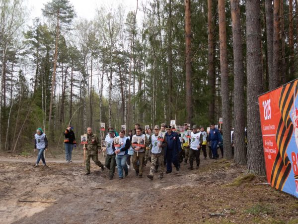 Более 450 тысяч деревьев высадили в области в рамках 6 сезона акции «Сад памяти»