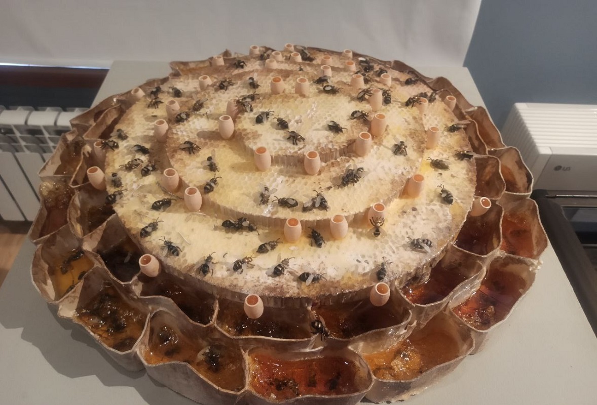 Ольга Севрюгина