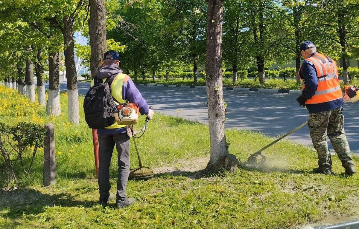 В Дзержинске продолжают уход за зелеными насаждениями