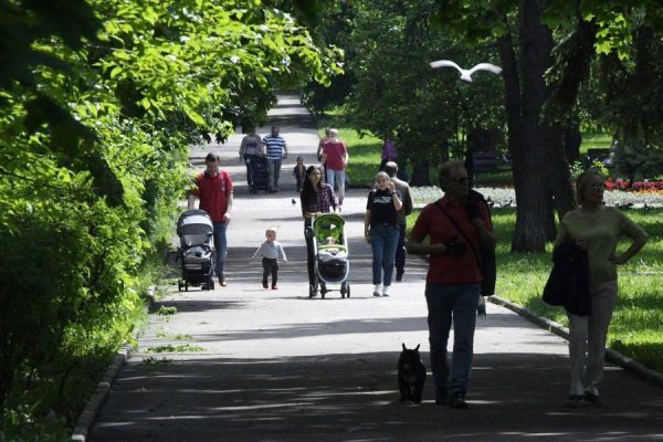 Почти полмиллиона нижегородцев проголосовали за объекты благоустройства по программе ЕР и Минстроя