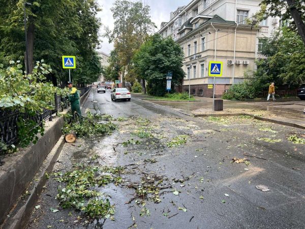 Упавшее дерево убрали с дороги на улице Звездинка в Нижнем Новгороде