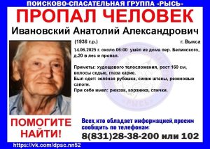 89-летний мужчина потерялся в лесу в&nbsp;Выксе