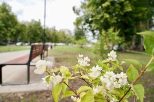 ТГ-канал главы Нижнего Новгорода