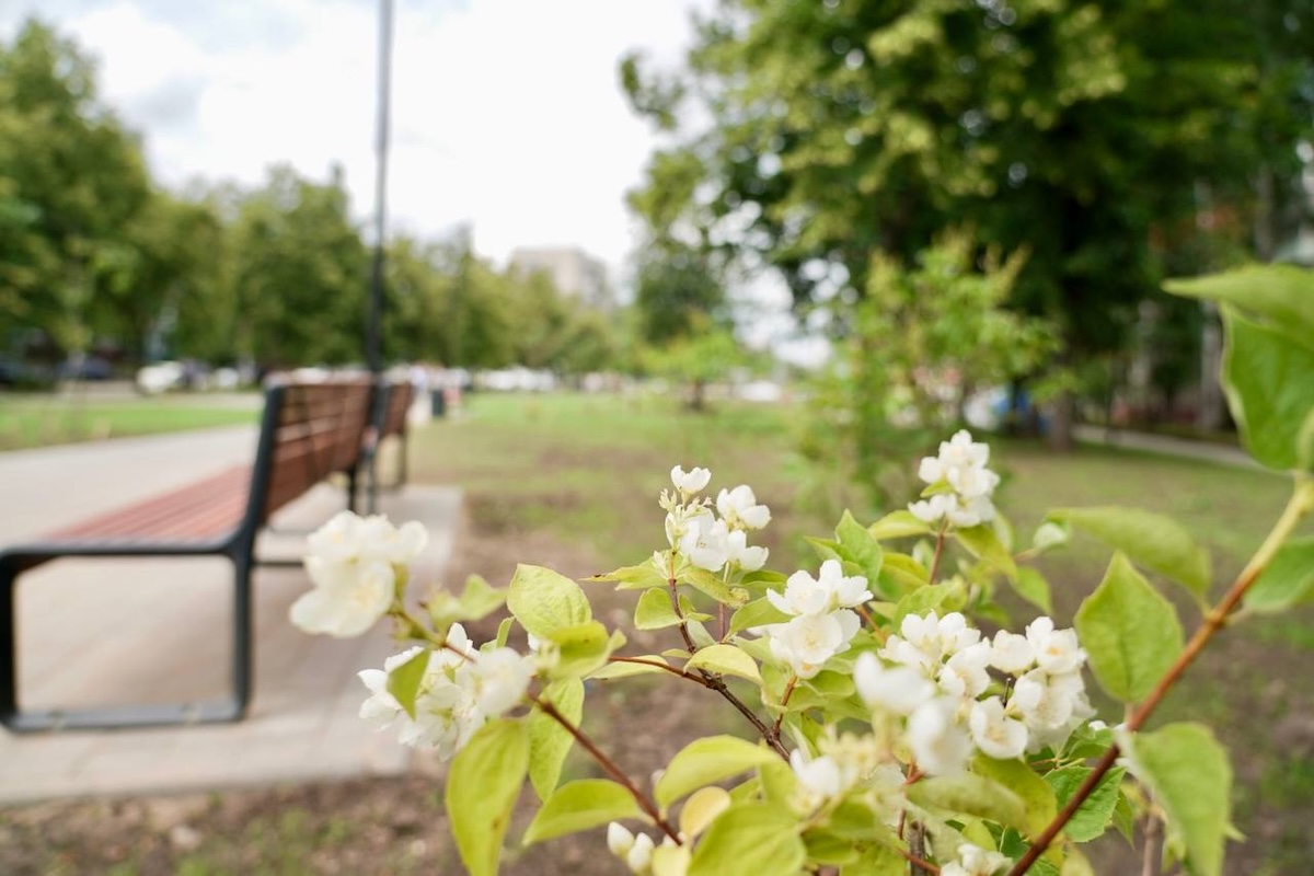 ТГ-канал главы Нижнего Новгорода