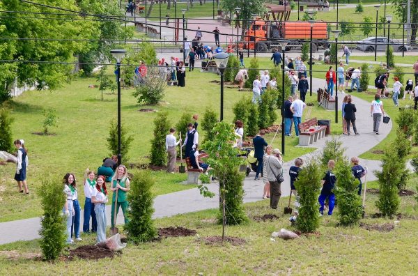 90 туй высажено в сквере имени Луначарского в Ленинском районе Нижнего Новгорода