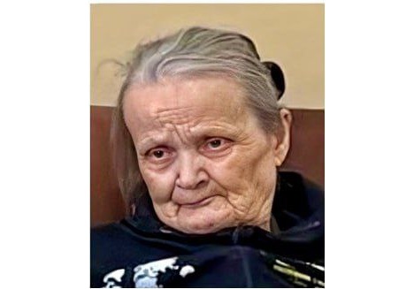 84-летнюю пенсионерку, покинувшую пансионат, ищут в Нижегородской области