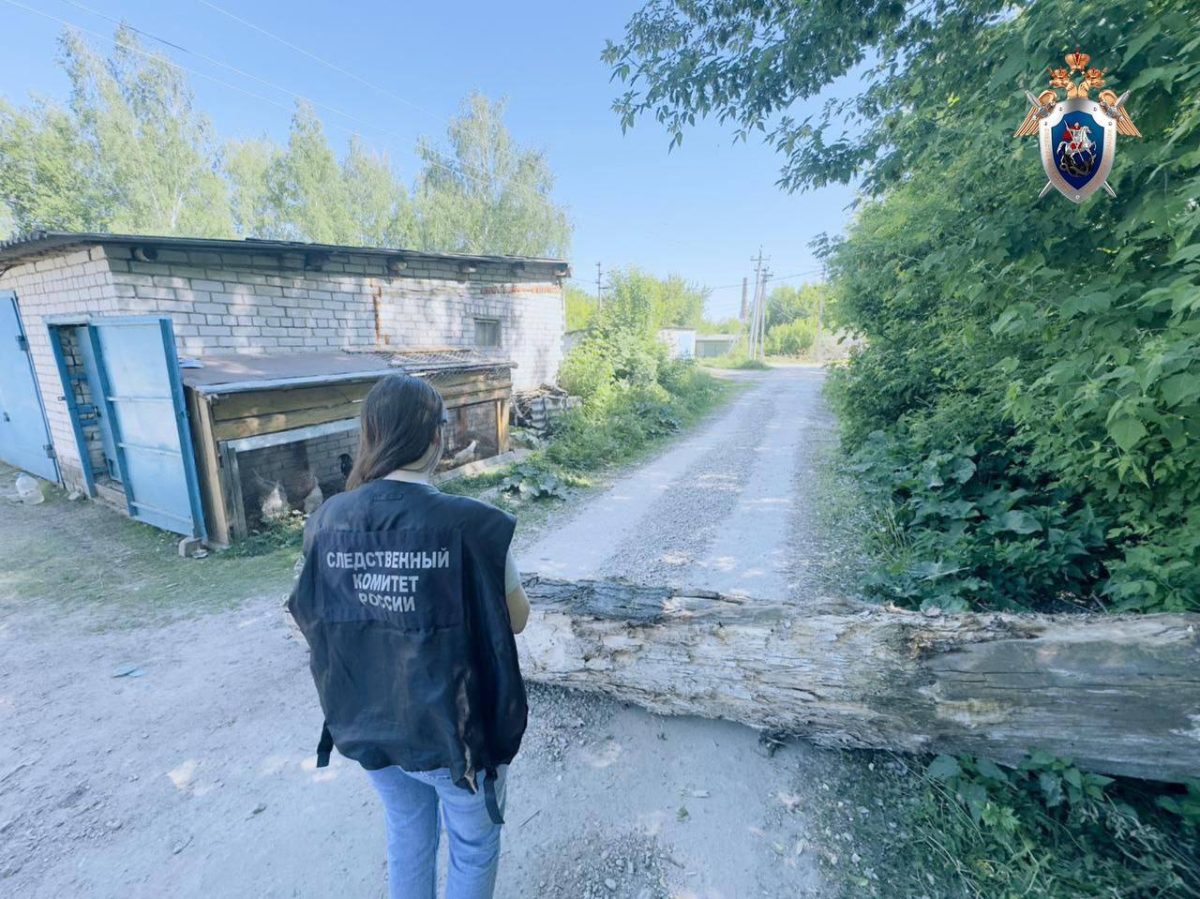 Пенсионера убило упавшее дерево в Перевозе
