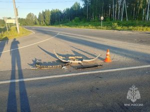 ГУ МЧС России по Нижегородской области