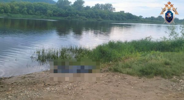 Следователи проводят проверку по факту гибели женщины в Оке у поселка Юрьевец