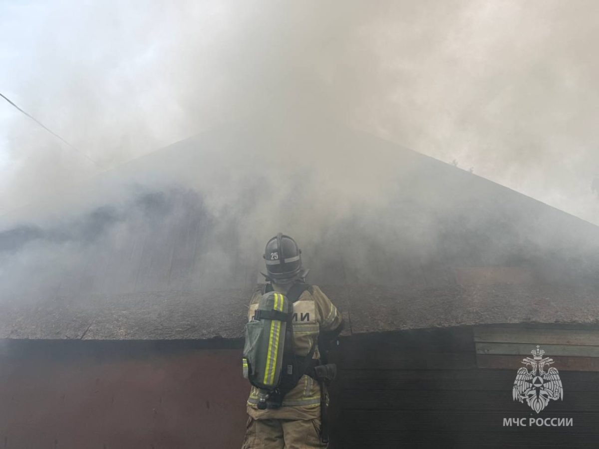 Огонь уничтожил два жилых дома и надворные постройки на Барнаульской улице