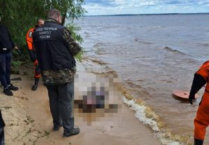 Следователи начали проверку после смерти мужчины на Горьковском море